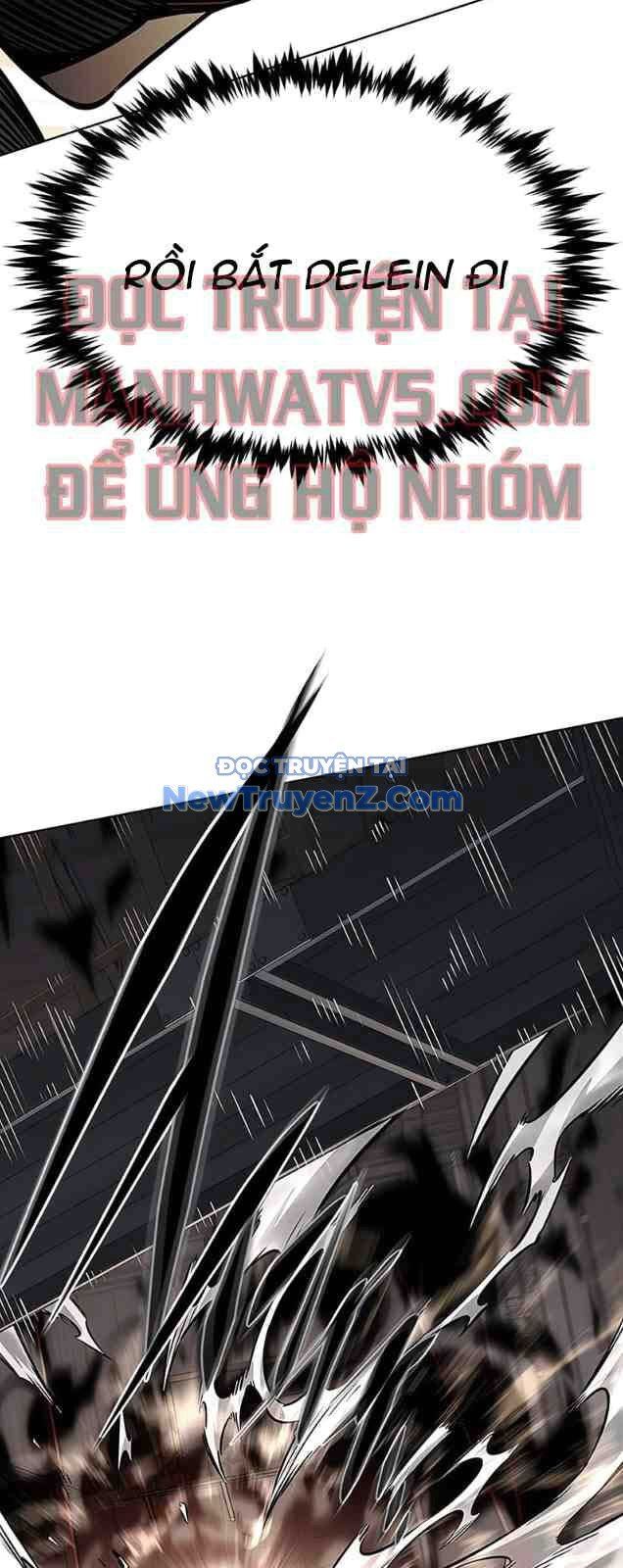 Hoá Thân Thành Mèo