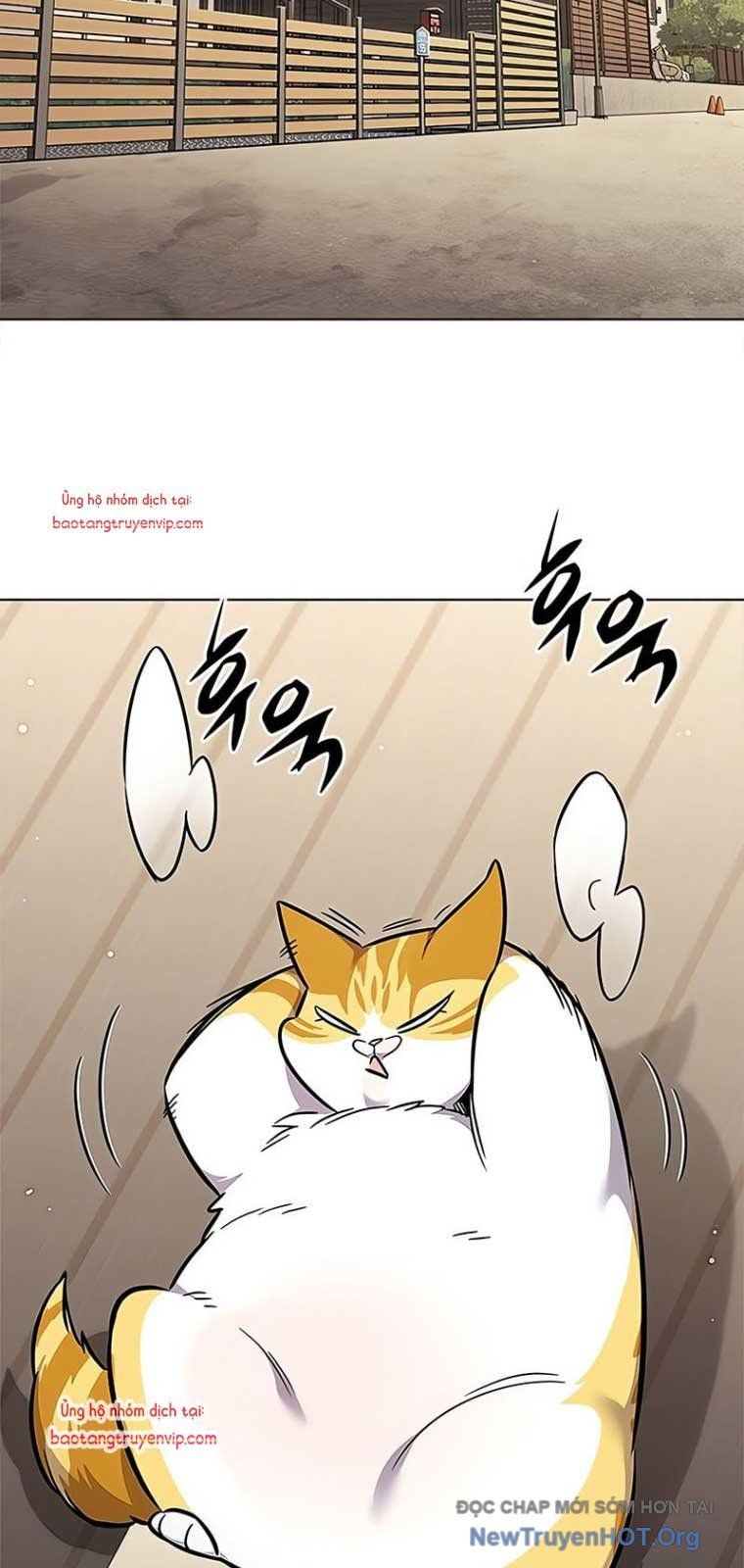 Hoá Thân Thành Mèo