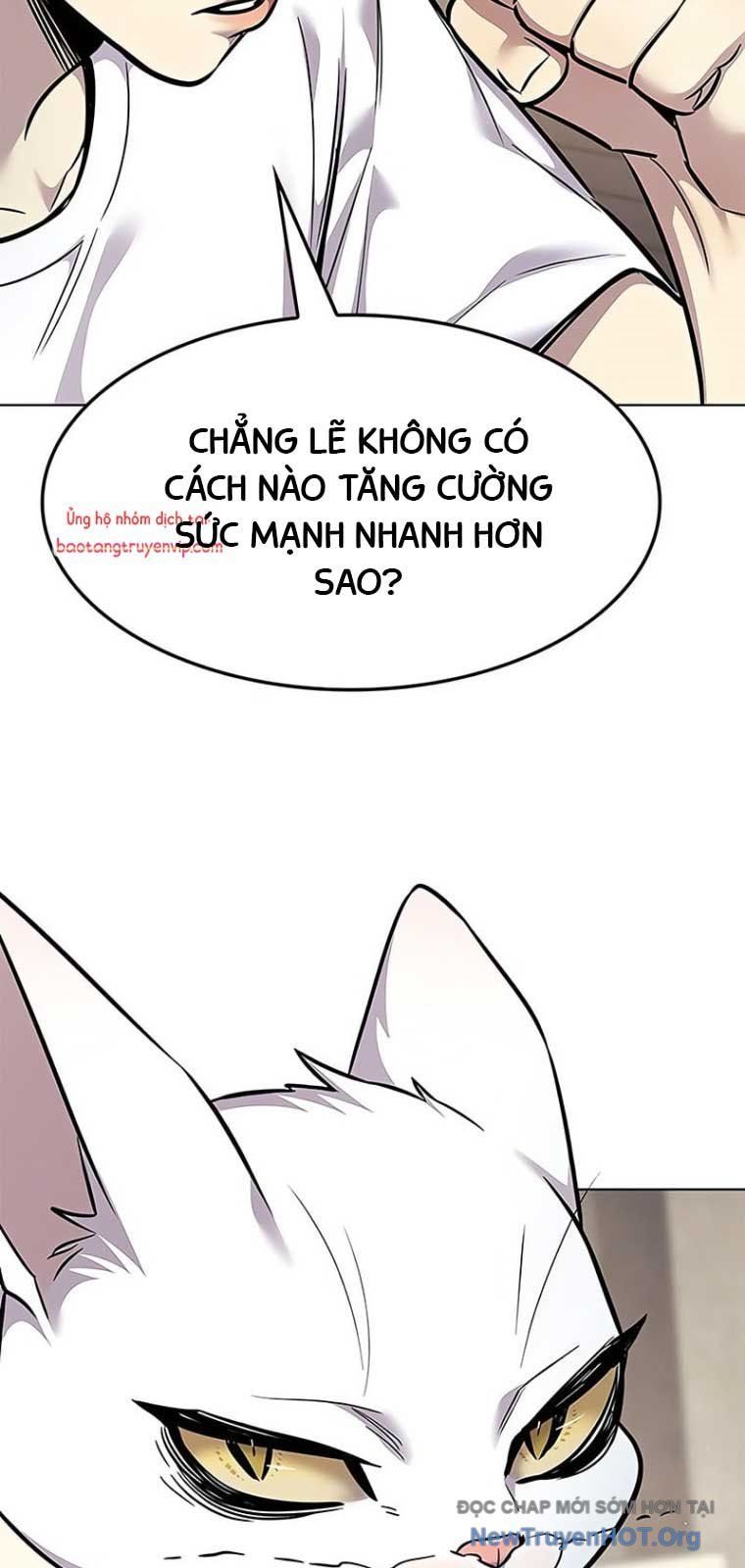 Hoá Thân Thành Mèo