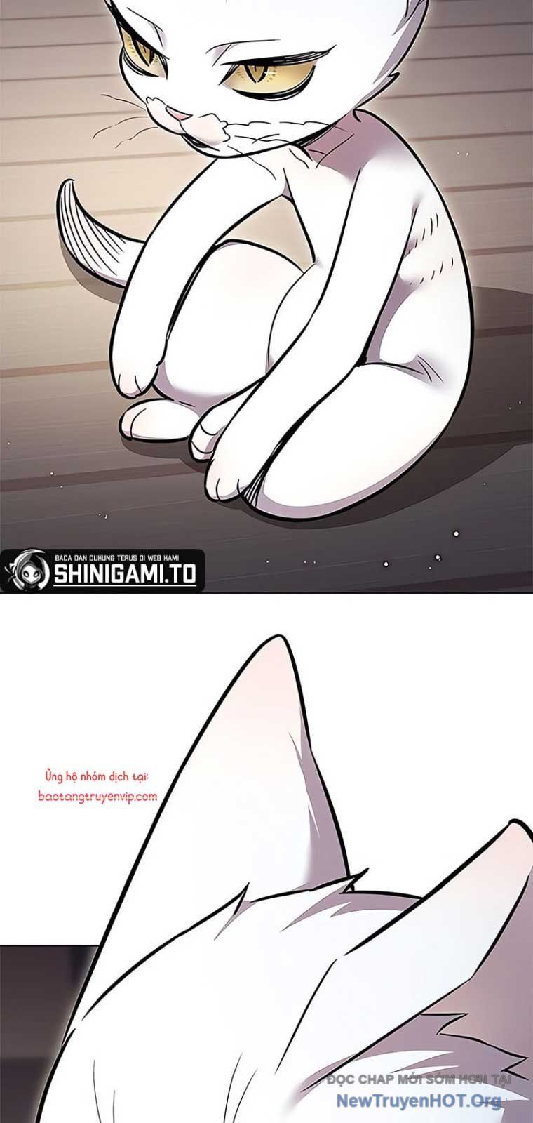 Hoá Thân Thành Mèo