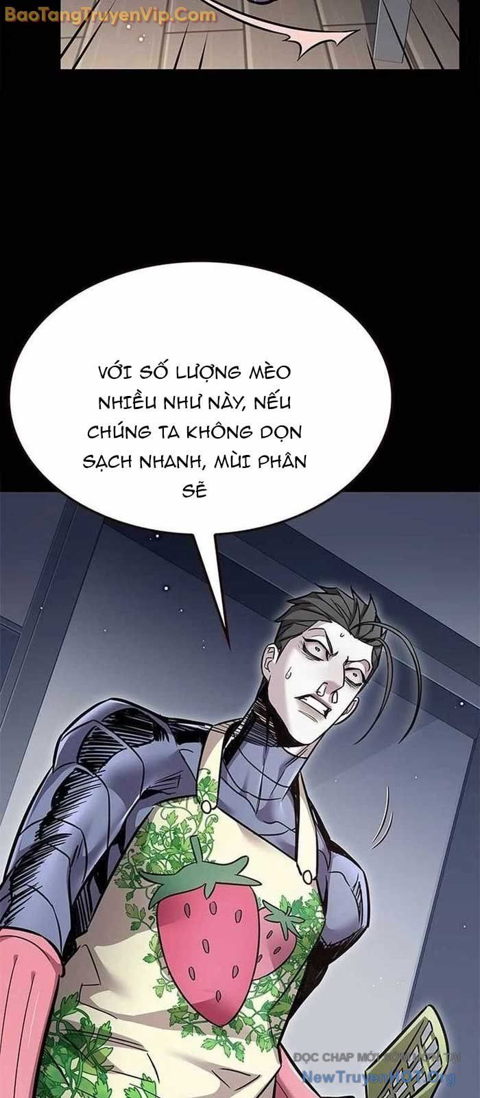 Hoá Thân Thành Mèo