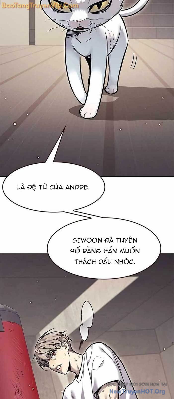 Hoá Thân Thành Mèo