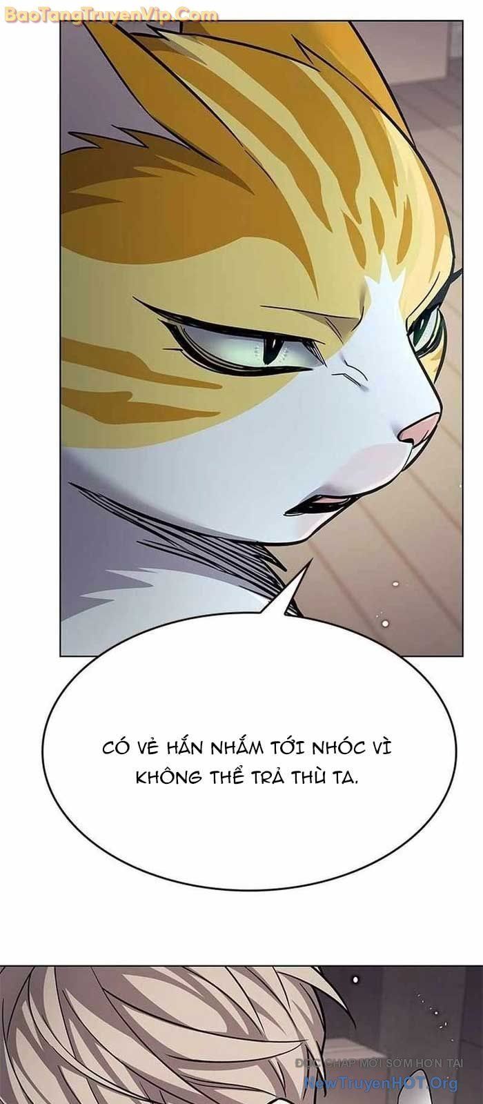 Hoá Thân Thành Mèo