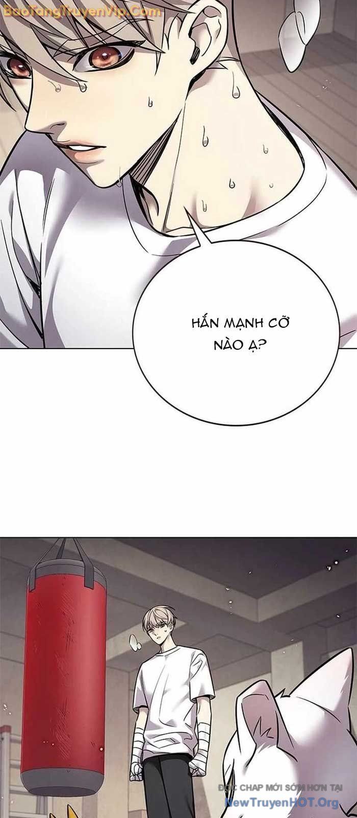 Hoá Thân Thành Mèo