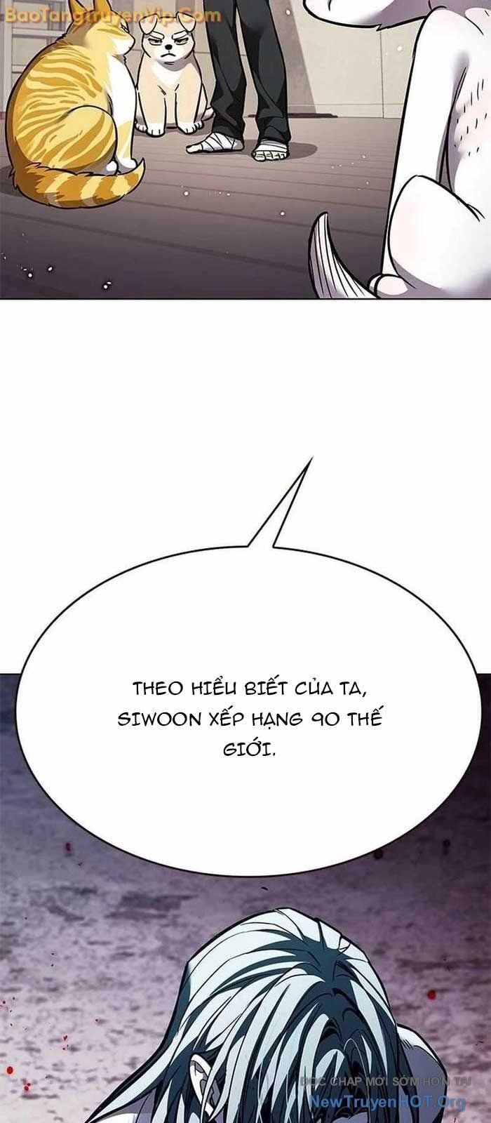 Hoá Thân Thành Mèo