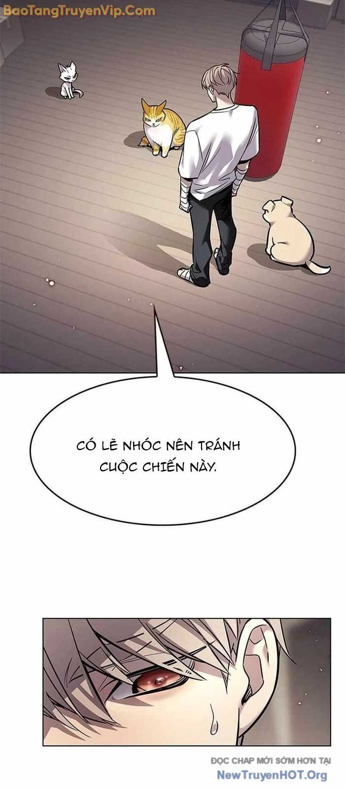 Hoá Thân Thành Mèo