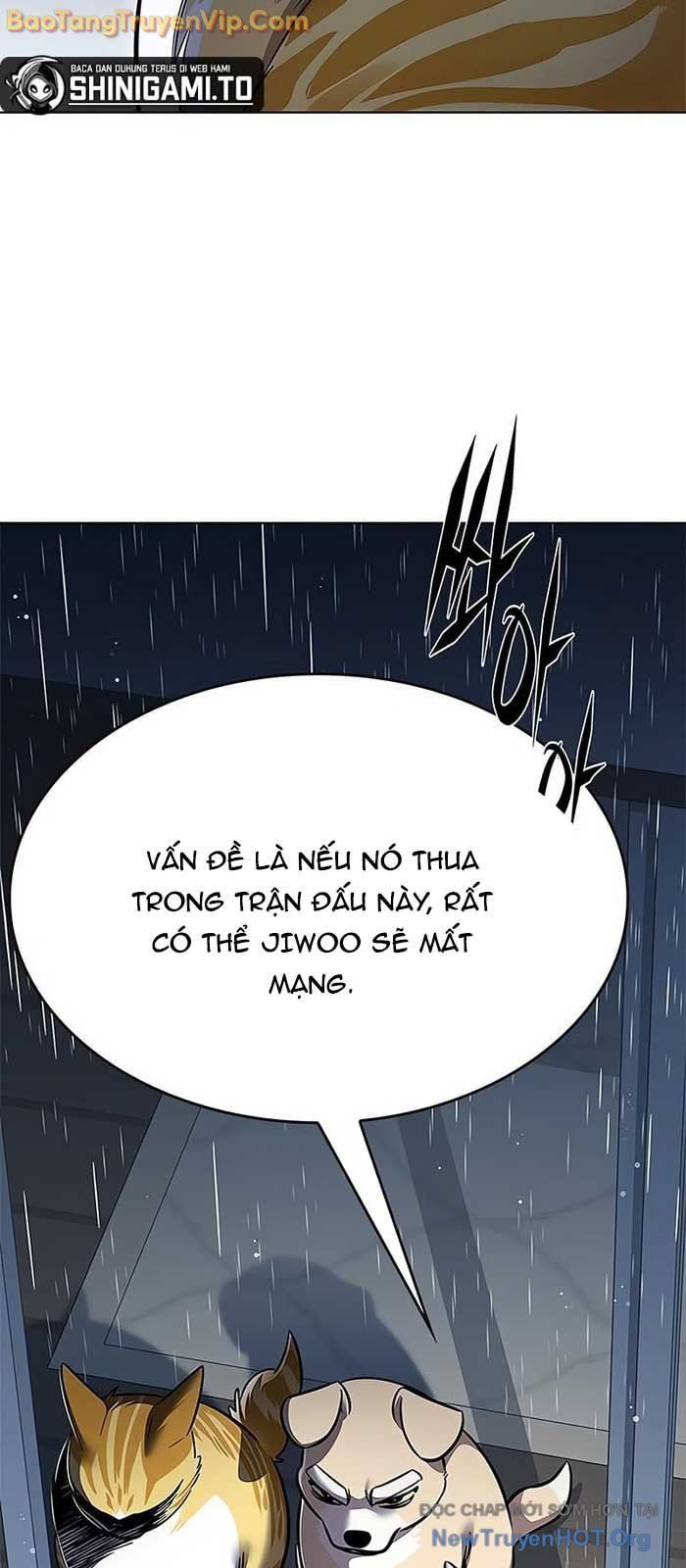 Hoá Thân Thành Mèo