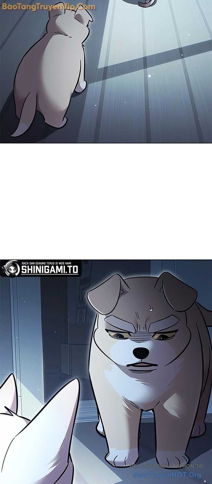 Hoá Thân Thành Mèo