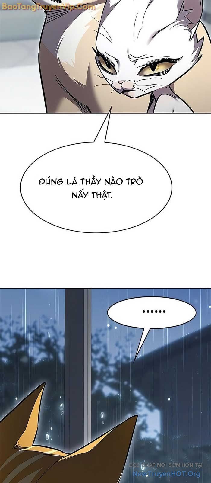 Hoá Thân Thành Mèo