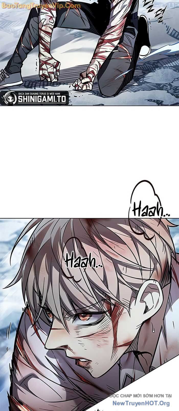 Hoá Thân Thành Mèo
