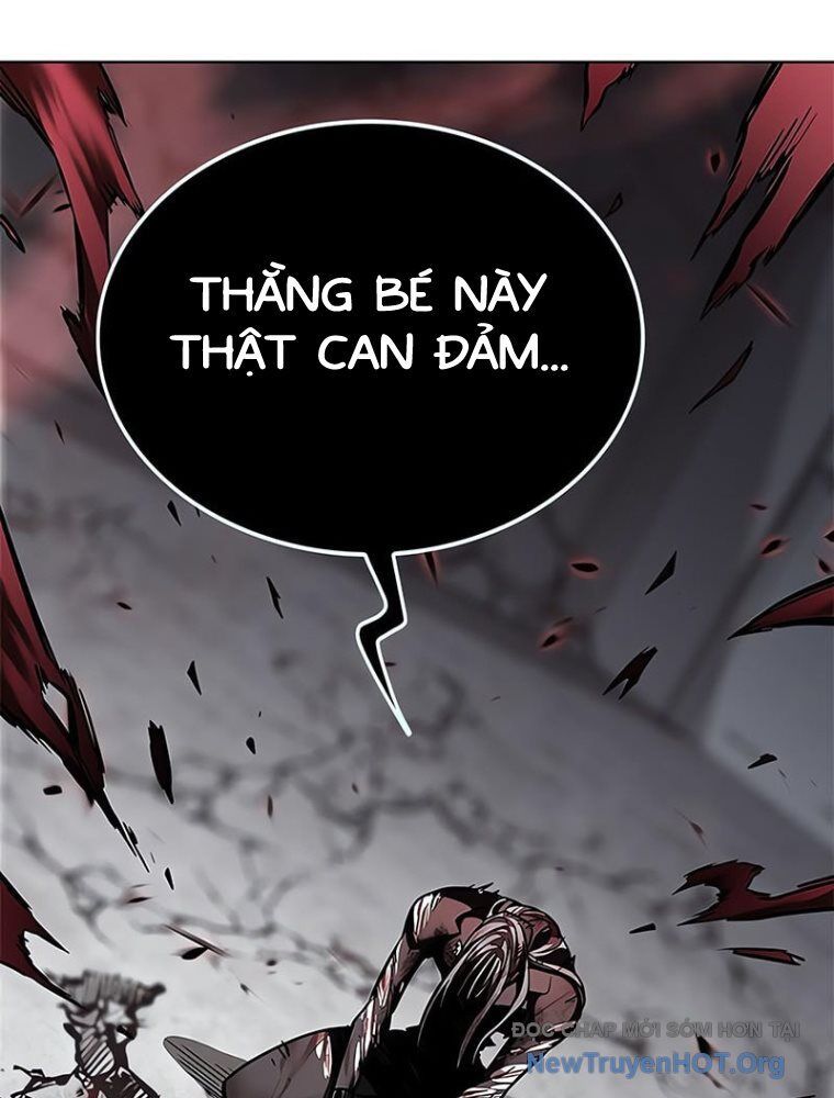 Hoá Thân Thành Mèo