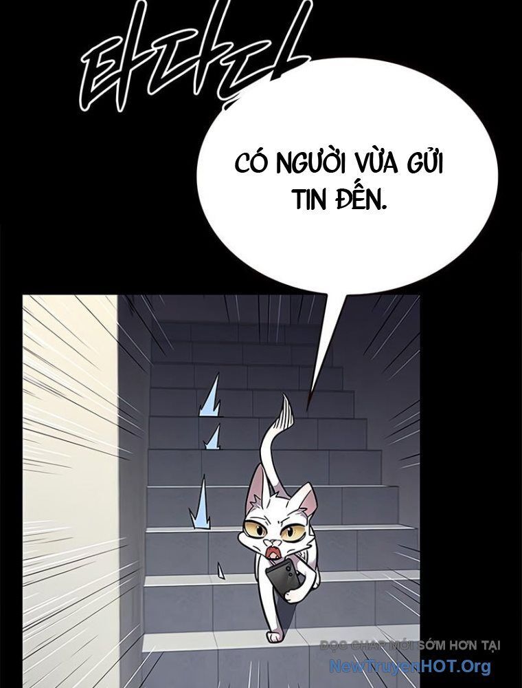 Hoá Thân Thành Mèo