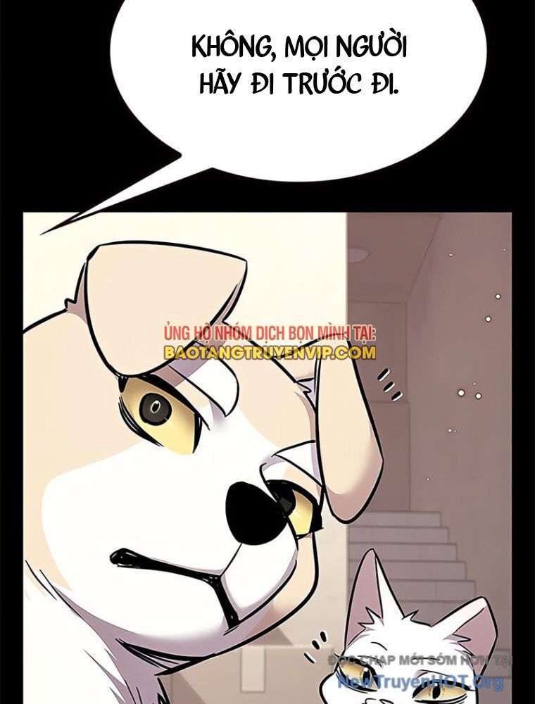 Hoá Thân Thành Mèo