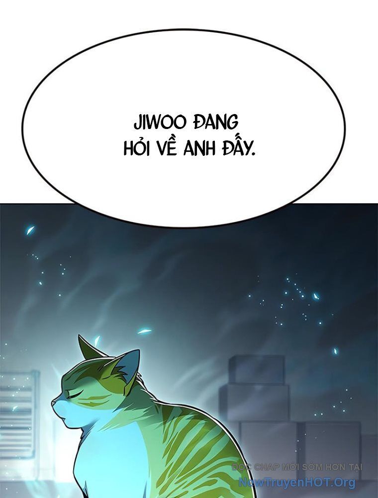 Hoá Thân Thành Mèo