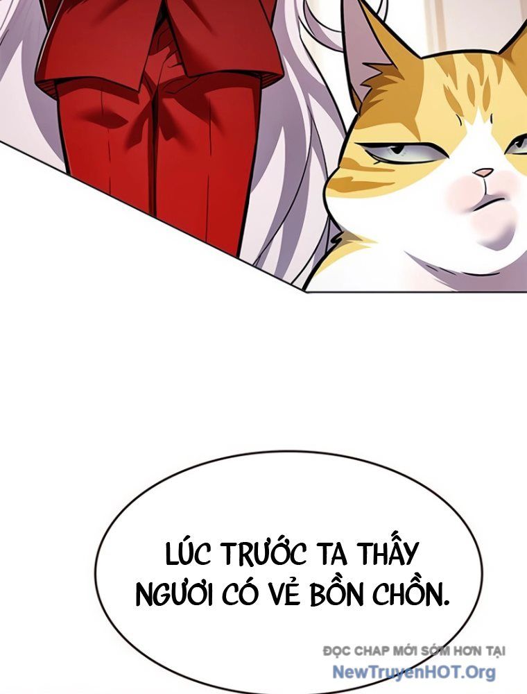 Hoá Thân Thành Mèo