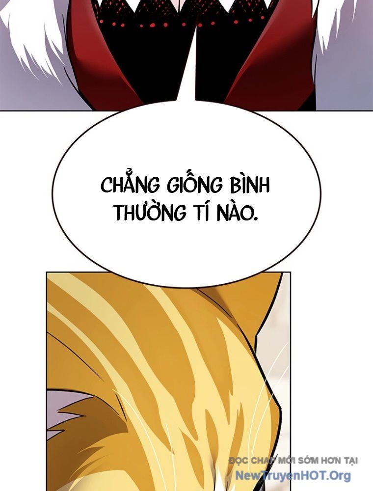 Hoá Thân Thành Mèo