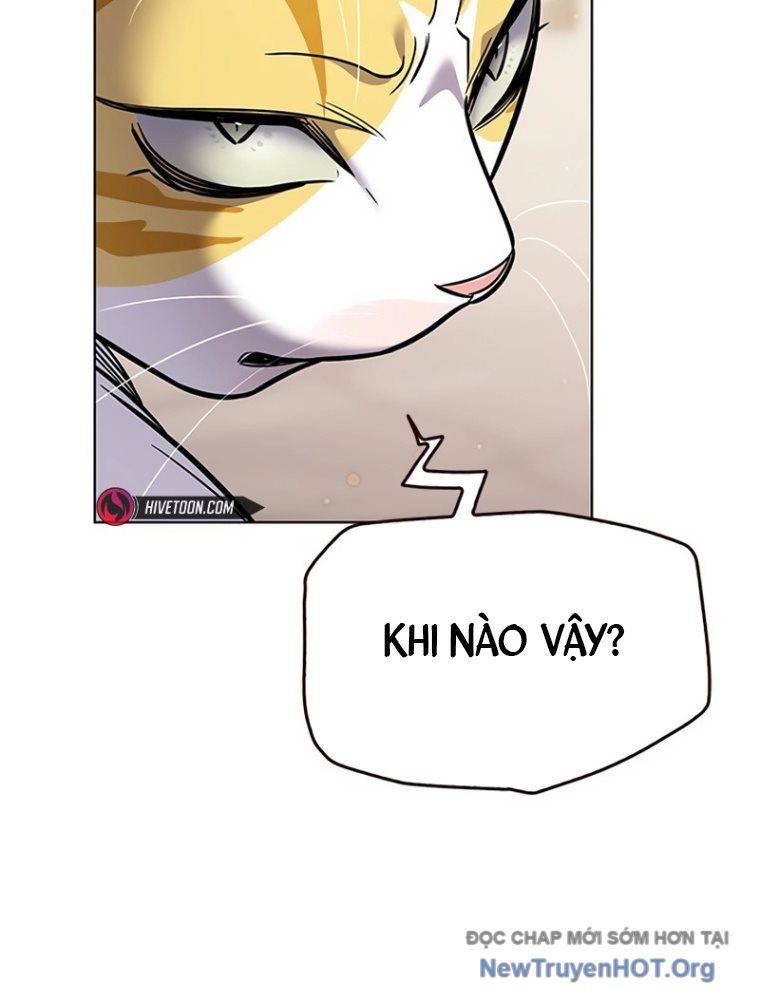 Hoá Thân Thành Mèo