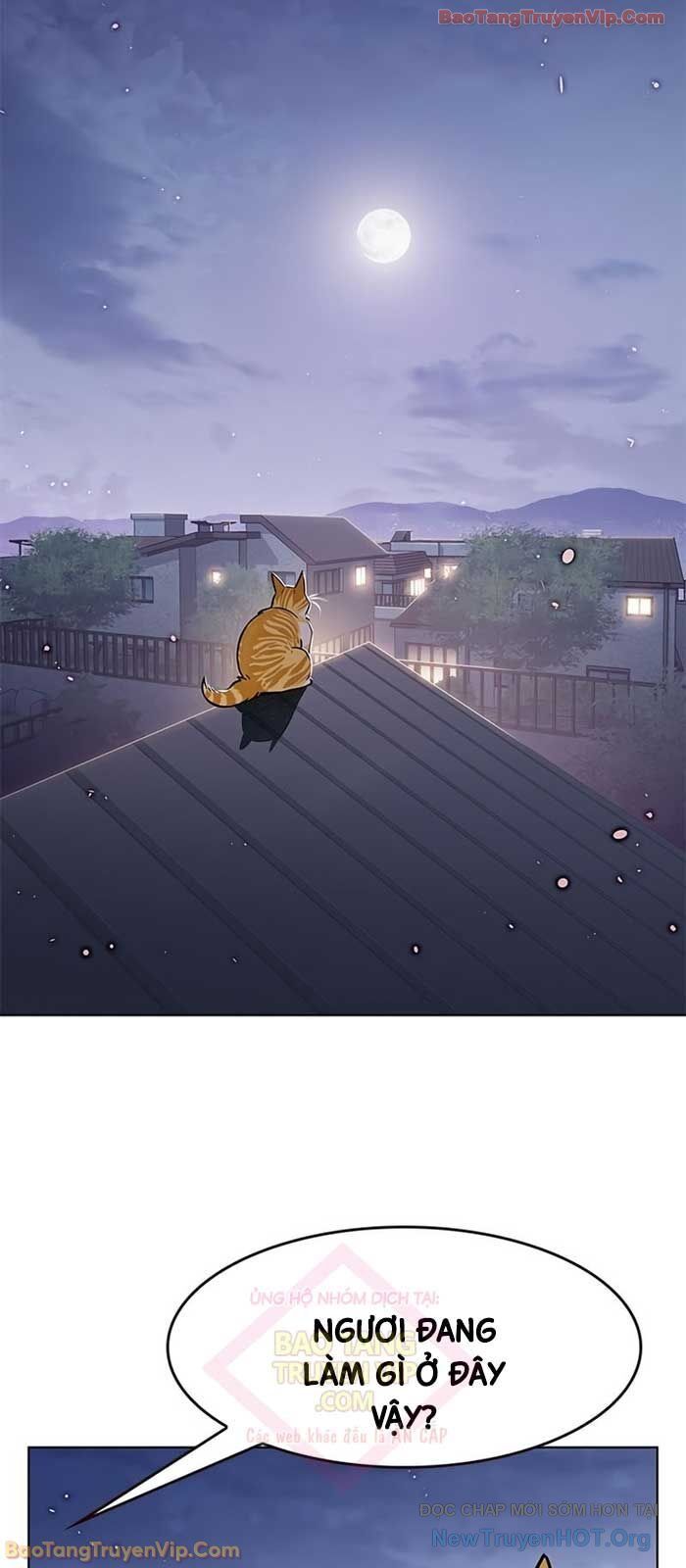 Hoá Thân Thành Mèo