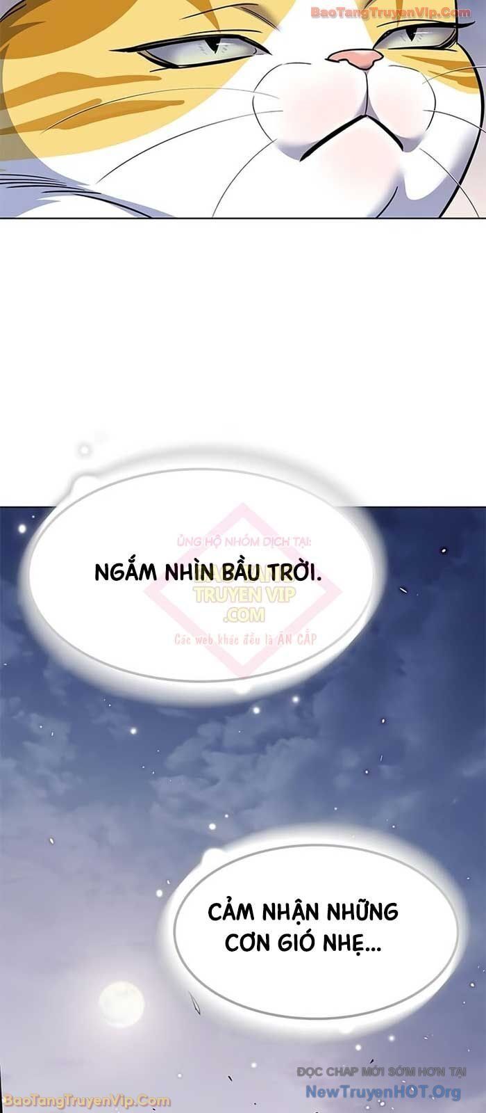 Hoá Thân Thành Mèo