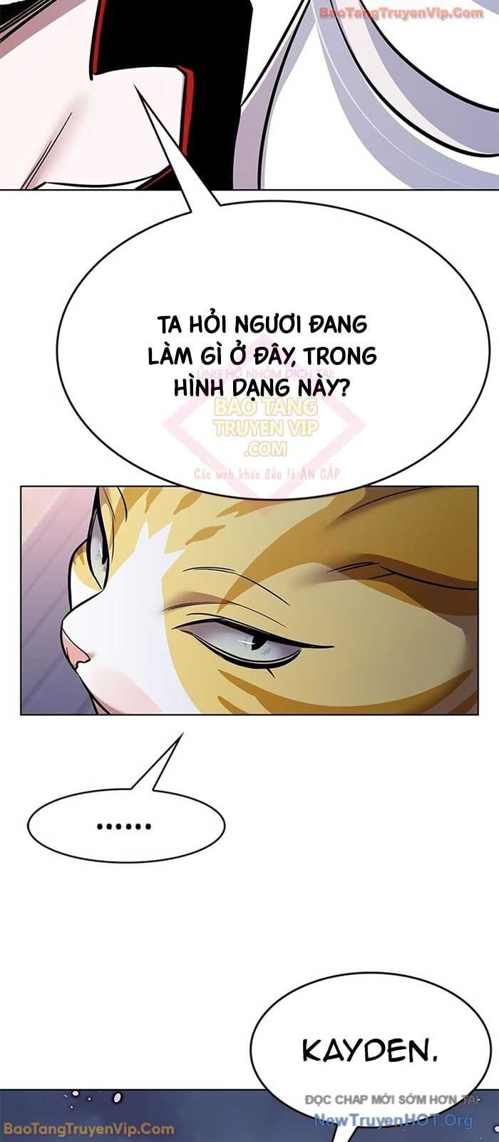 Hoá Thân Thành Mèo