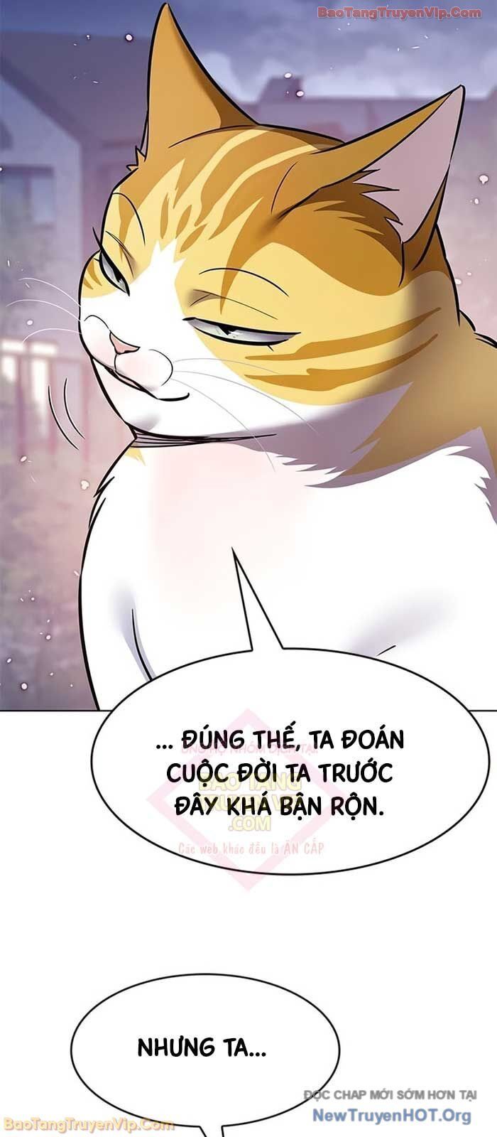Hoá Thân Thành Mèo