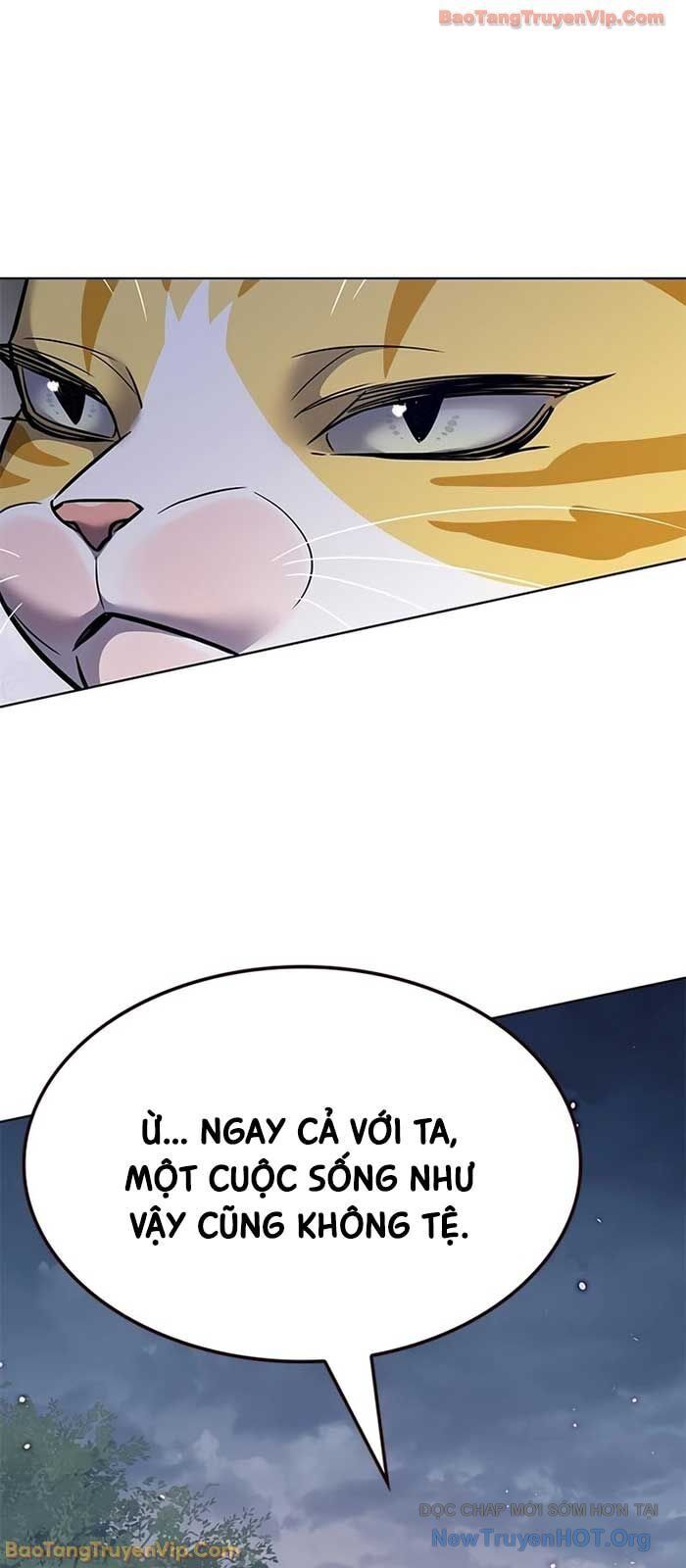 Hoá Thân Thành Mèo