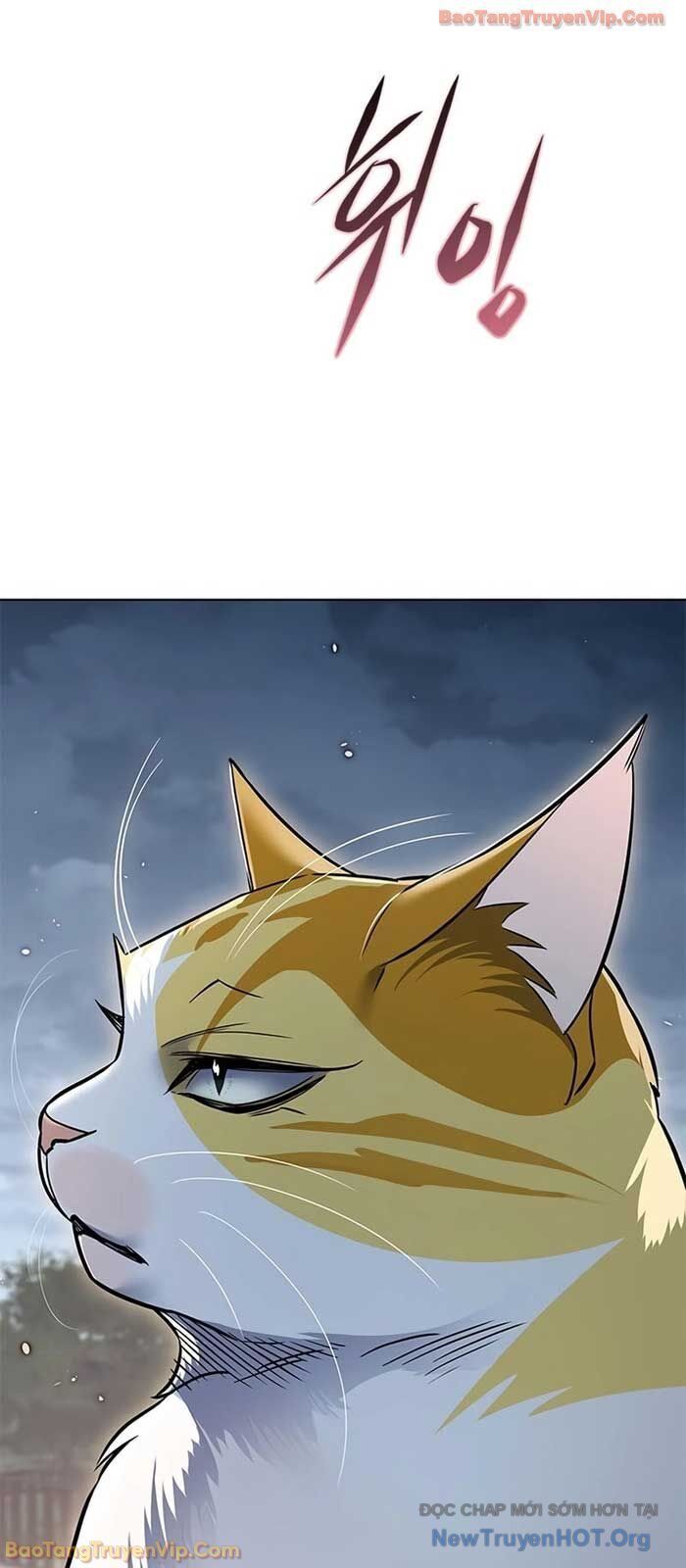 Hoá Thân Thành Mèo