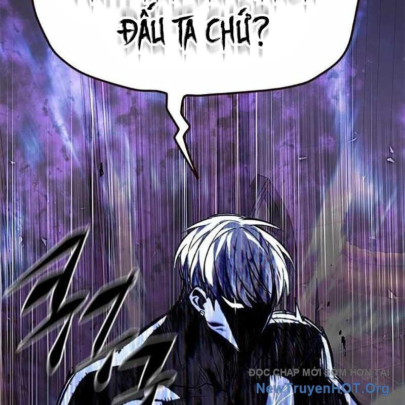Hoá Thân Thành Mèo