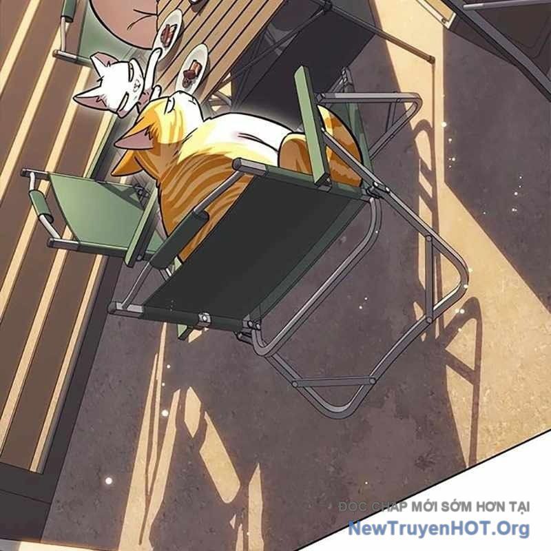 Hoá Thân Thành Mèo