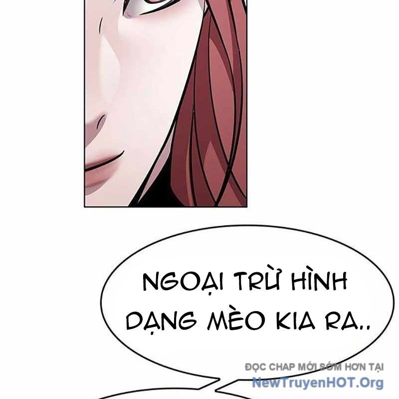 Hoá Thân Thành Mèo