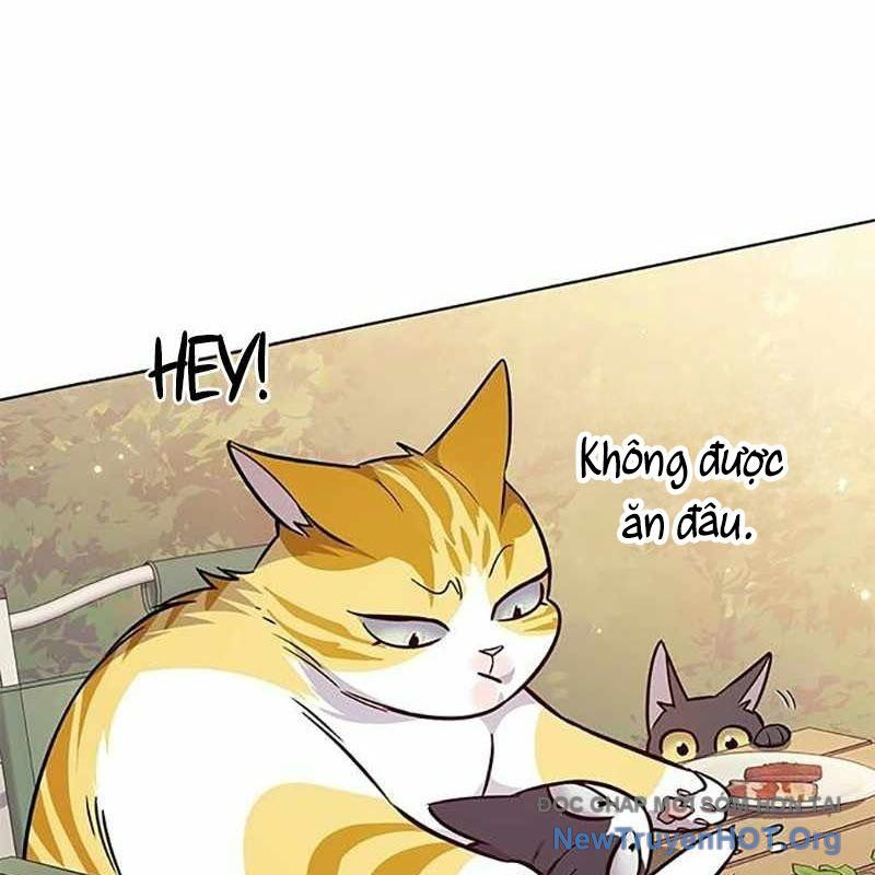 Hoá Thân Thành Mèo