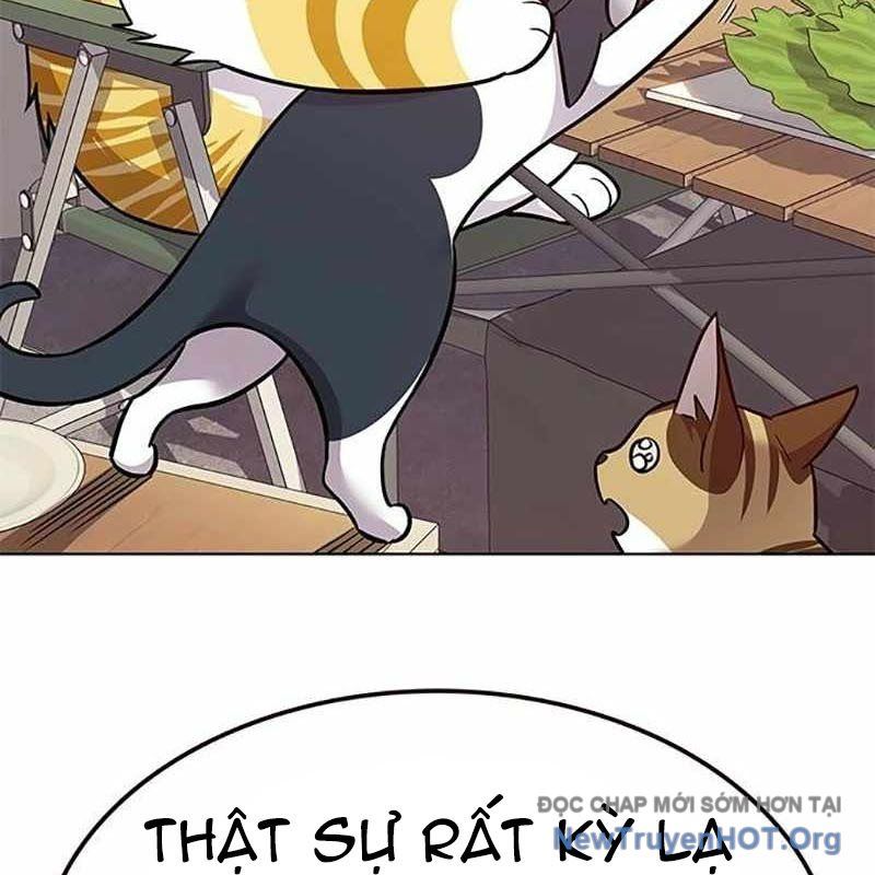 Hoá Thân Thành Mèo