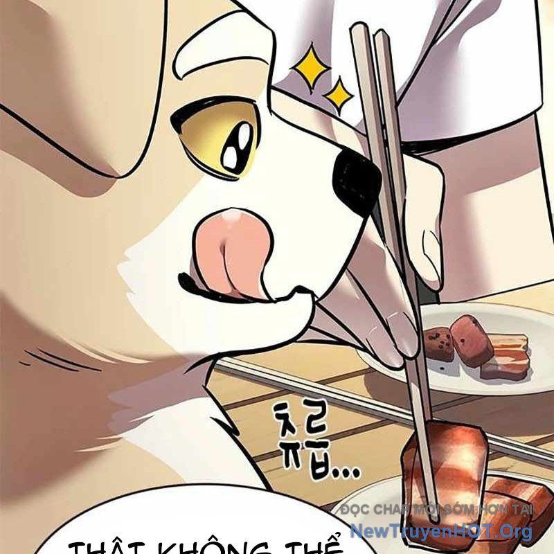 Hoá Thân Thành Mèo