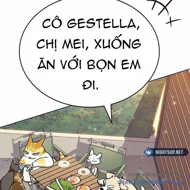 Hoá Thân Thành Mèo
