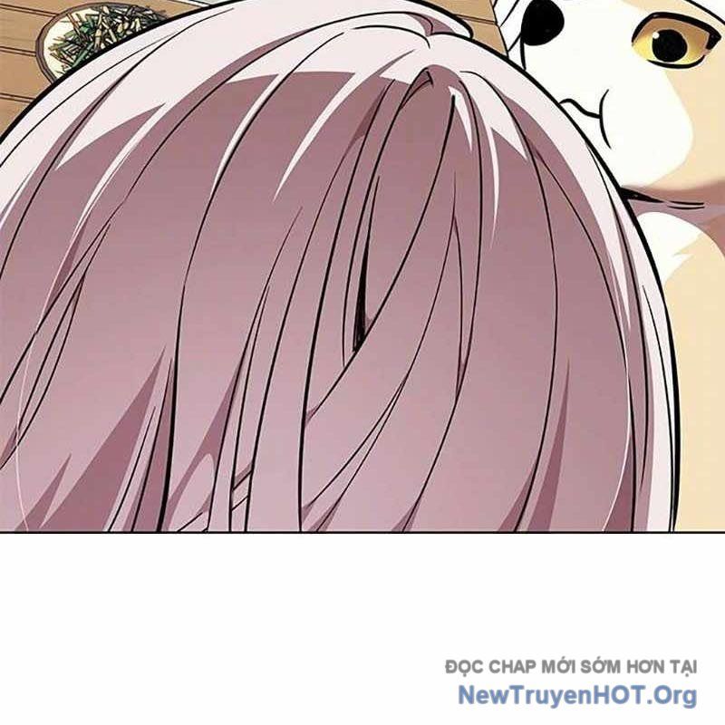 Hoá Thân Thành Mèo