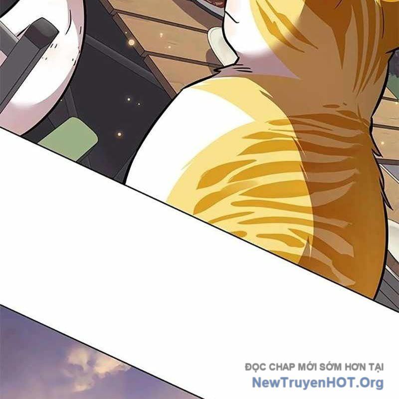 Hoá Thân Thành Mèo