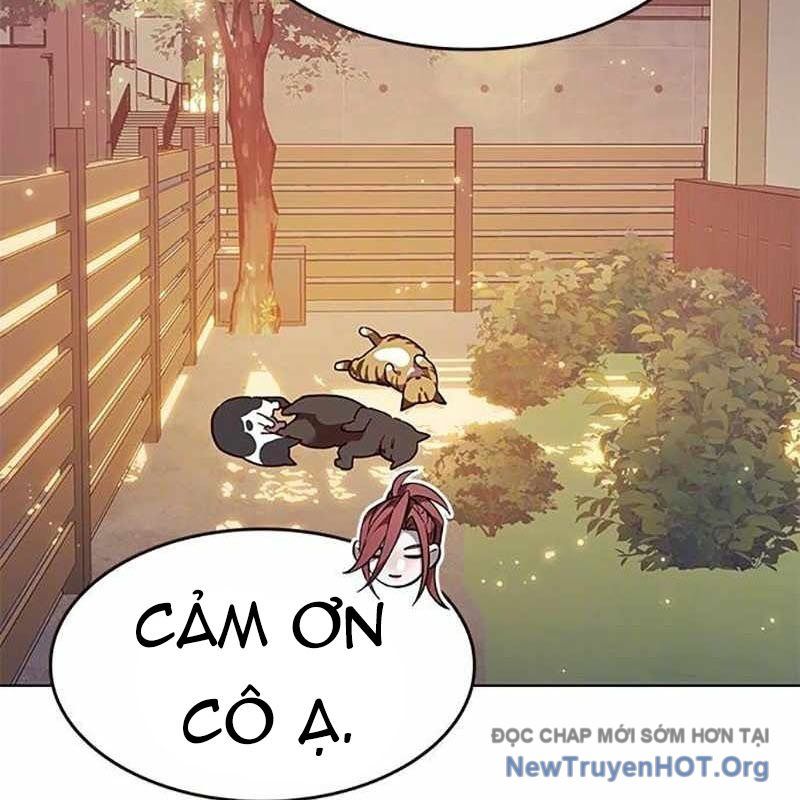 Hoá Thân Thành Mèo
