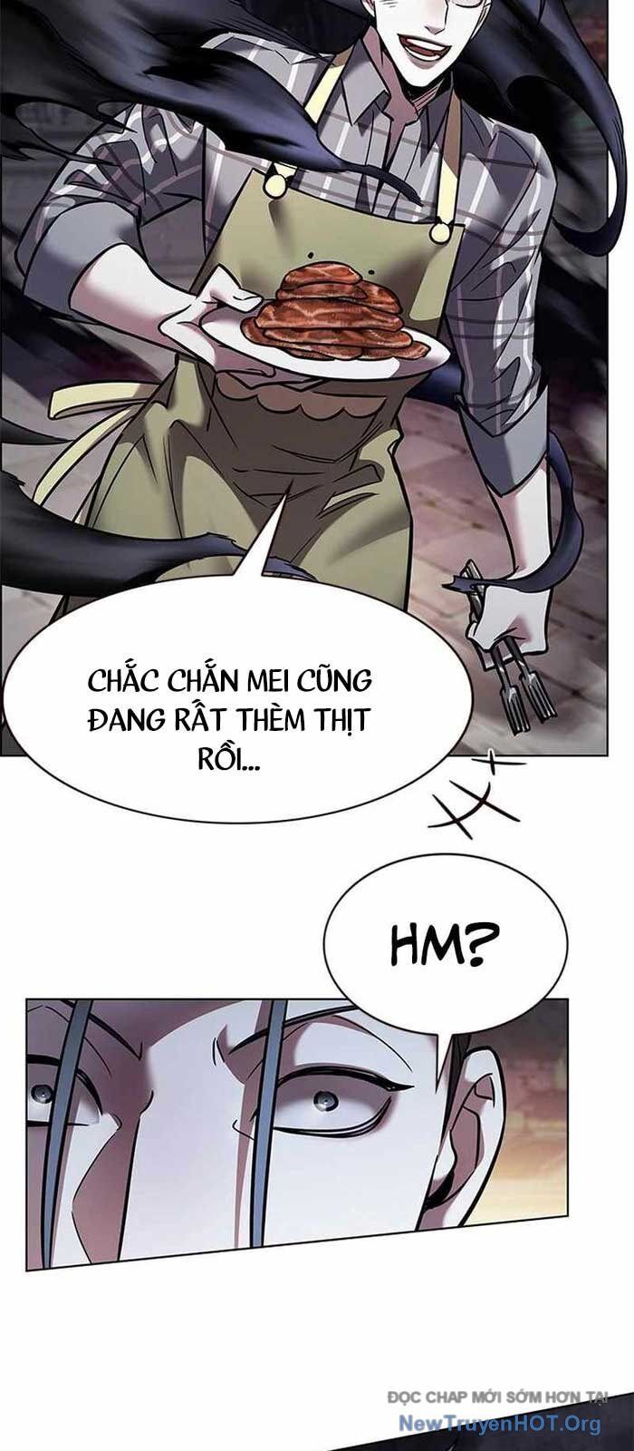Hoá Thân Thành Mèo