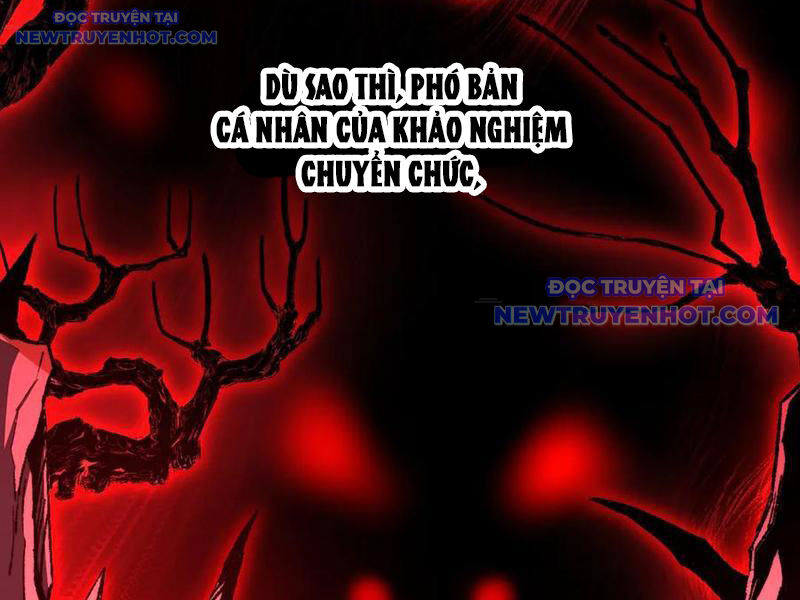 Ta Là Tai Họa Cấp Mục Sư