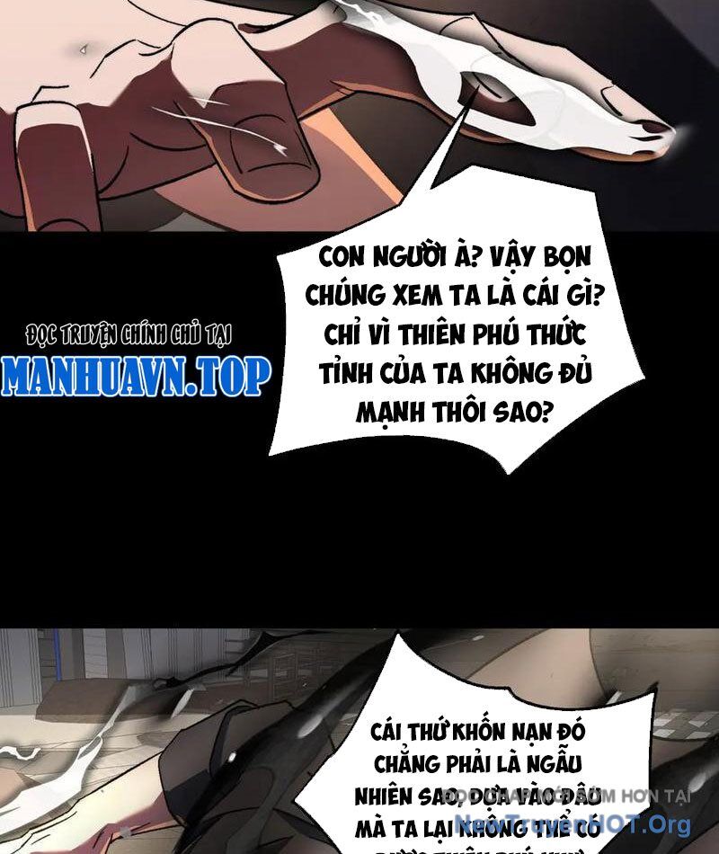 Ta Là Tai Họa Cấp Mục Sư