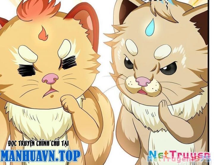 Trụ Vương Tái Sinh Không Muốn Làm Đại Phản Diện