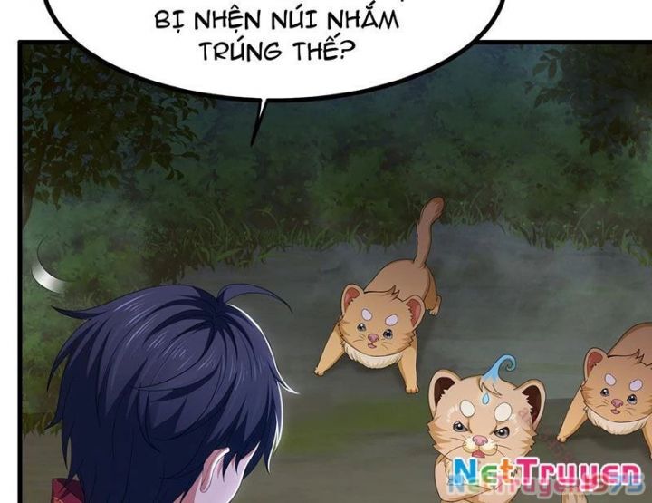 Trụ Vương Tái Sinh Không Muốn Làm Đại Phản Diện