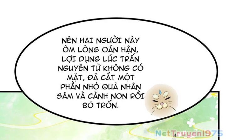 Trụ Vương Tái Sinh Không Muốn Làm Đại Phản Diện