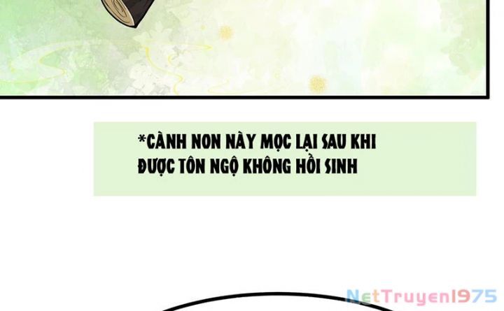 Trụ Vương Tái Sinh Không Muốn Làm Đại Phản Diện
