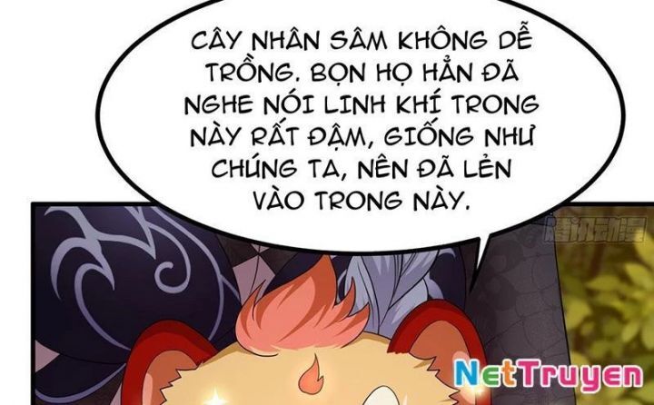 Trụ Vương Tái Sinh Không Muốn Làm Đại Phản Diện