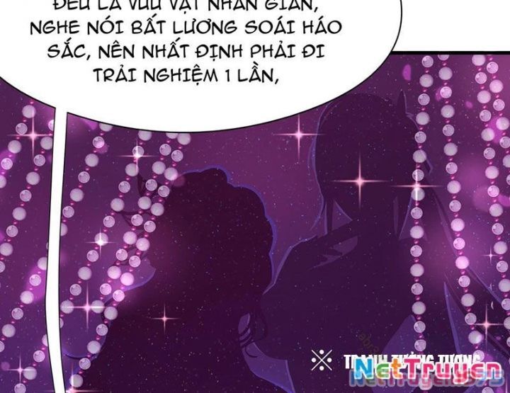 Trụ Vương Tái Sinh Không Muốn Làm Đại Phản Diện