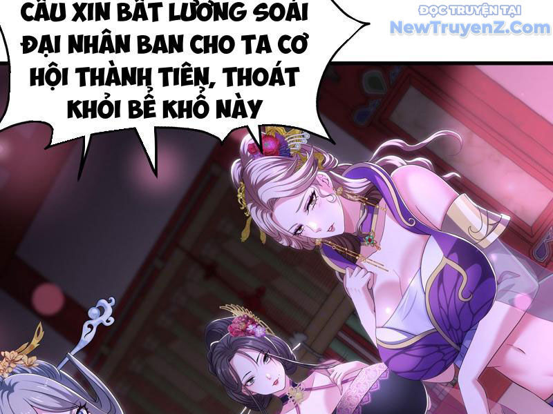 Trụ Vương Tái Sinh Không Muốn Làm Đại Phản Diện