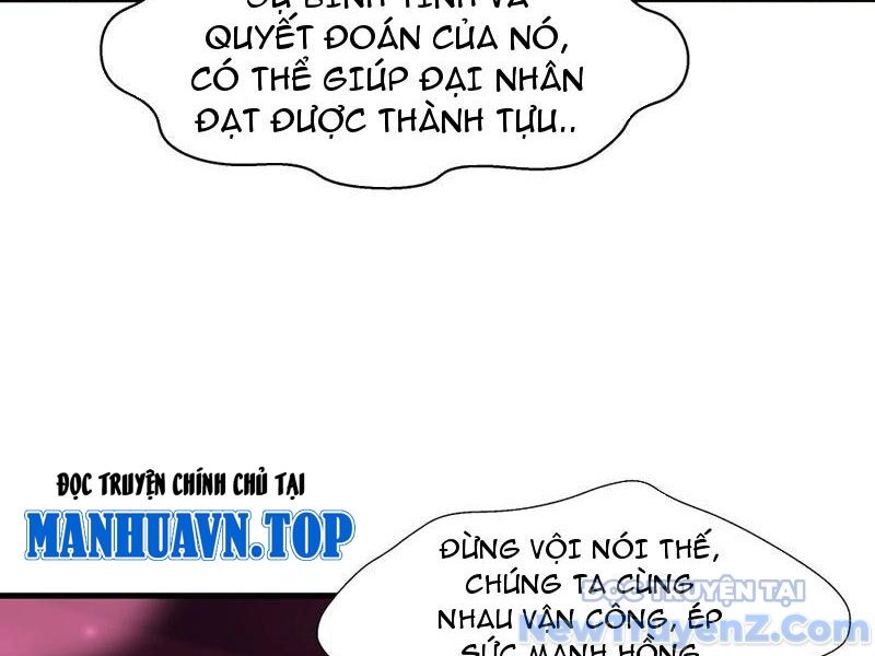 Trụ Vương Tái Sinh Không Muốn Làm Đại Phản Diện