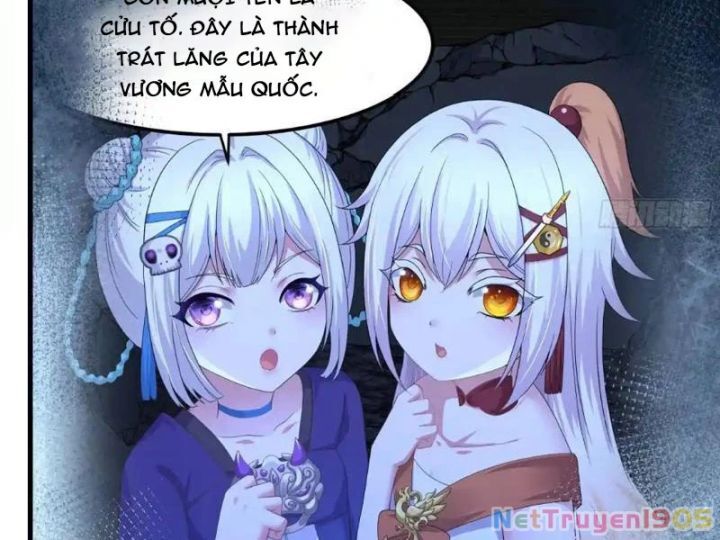 Trụ Vương Tái Sinh Không Muốn Làm Đại Phản Diện