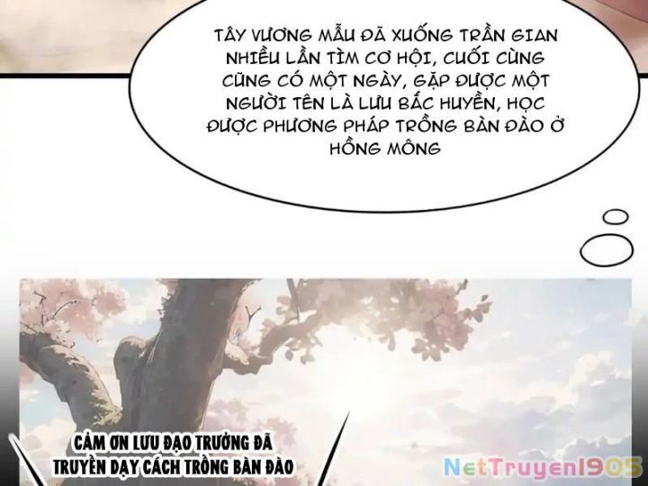 Trụ Vương Tái Sinh Không Muốn Làm Đại Phản Diện